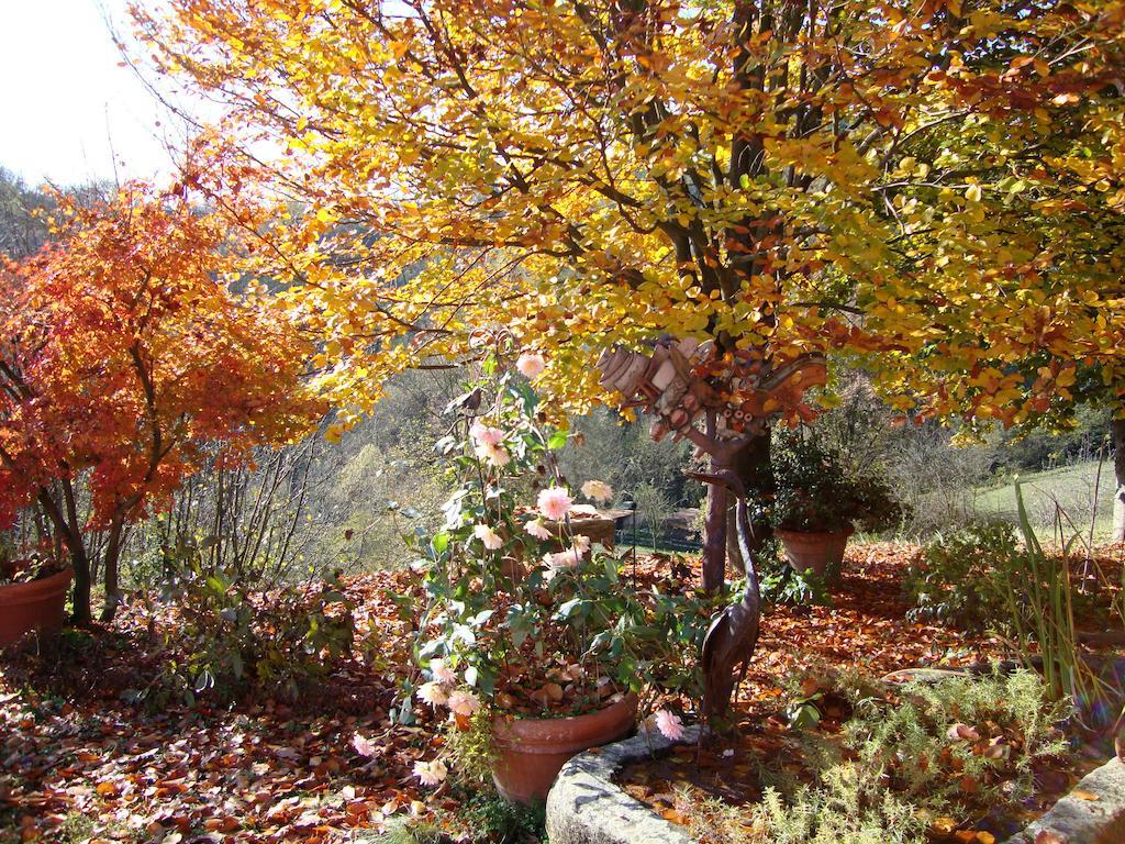 Cascina Nel Bosco Bed & Breakfast Moncucco Torinese Exterior foto