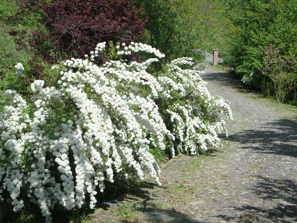 Cascina Nel Bosco Bed & Breakfast Moncucco Torinese Exterior foto